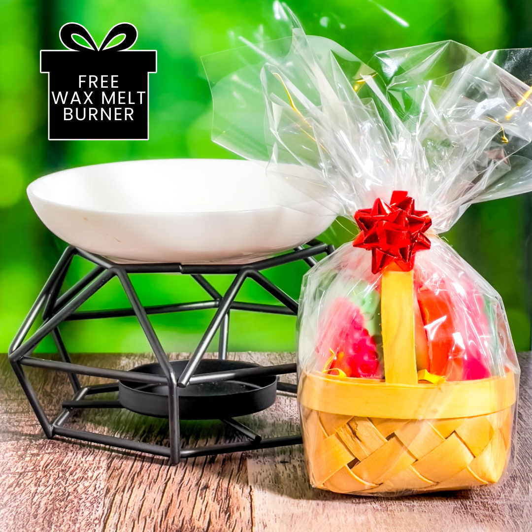 NATURE'S CANDY MINI FRUIT BASKET WAX MELTS