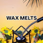 PINEAPPLE WAX MELTS